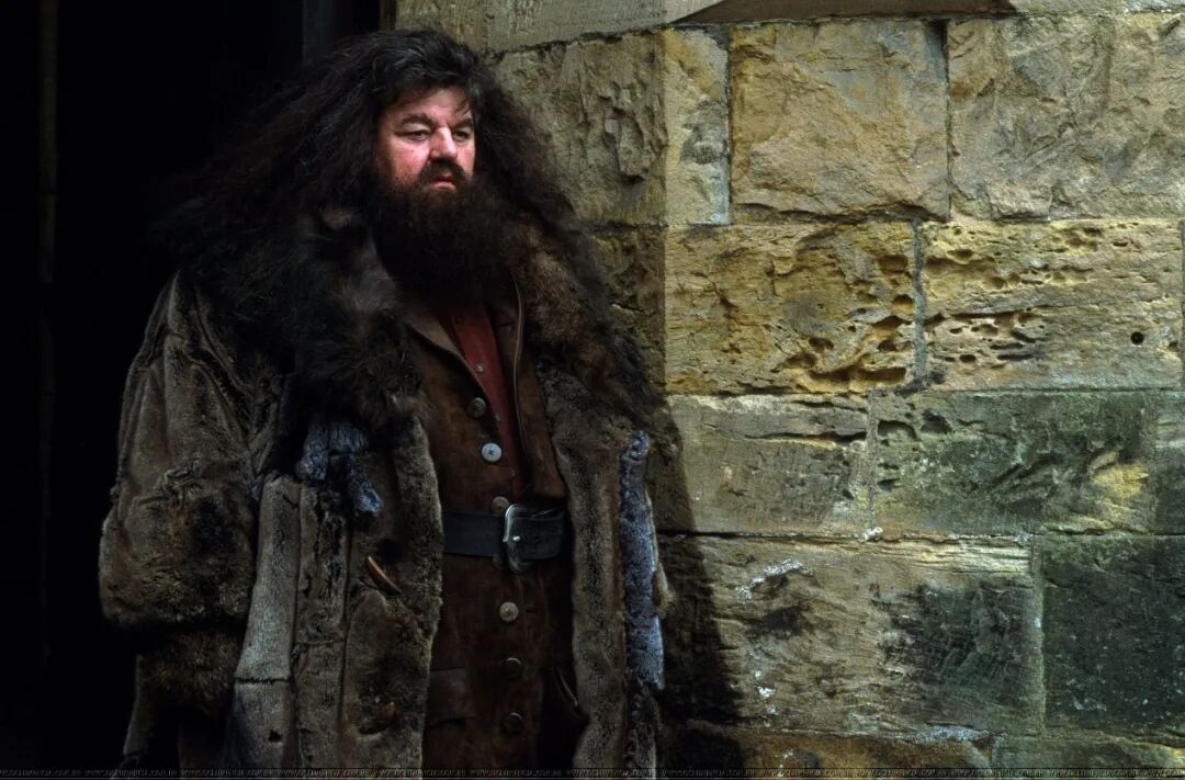 哈利波特鲁伯海格当年被冤枉会不会是故意安排的呢