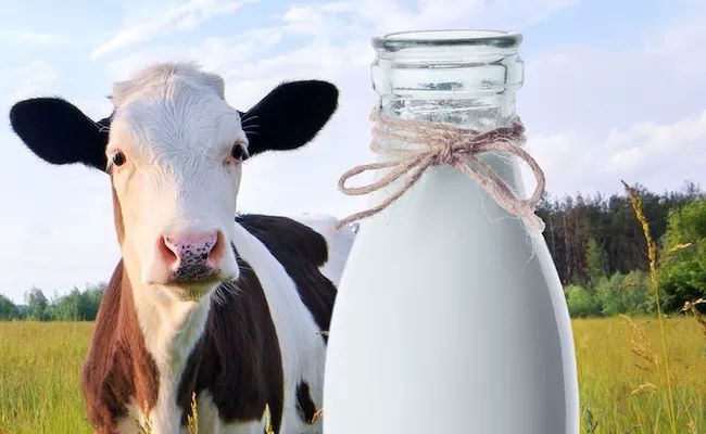 巨幅“反牛奶运动”广告牌遍布整个洛杉矶，只为告诉你牛奶真的很可怕！