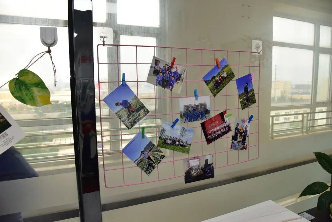 旗开得胜 扬帆起航丨东南电化公司召开第一批次7S管理样板区验收评比、总结誓师大会