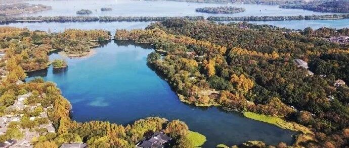 明起，杭州天气大转折！最近有人因它疼到要打止痛针，医生紧急提醒：千万别这样穿...