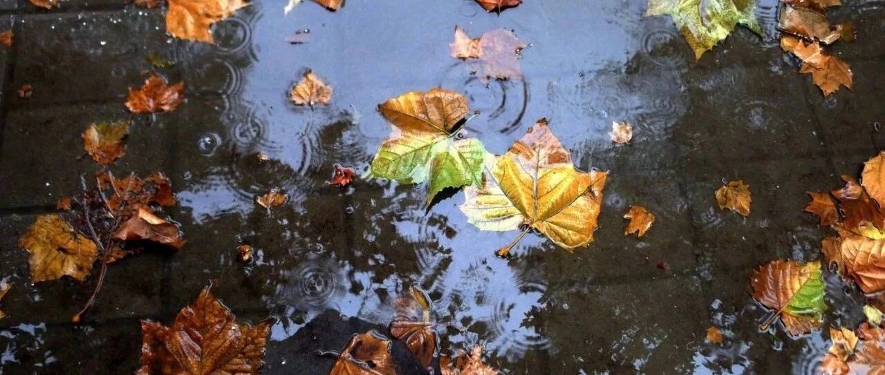 杭州又来冷空气!大风+降雨就在这天,最高温跌到......警惕这种病,比癌症可怕