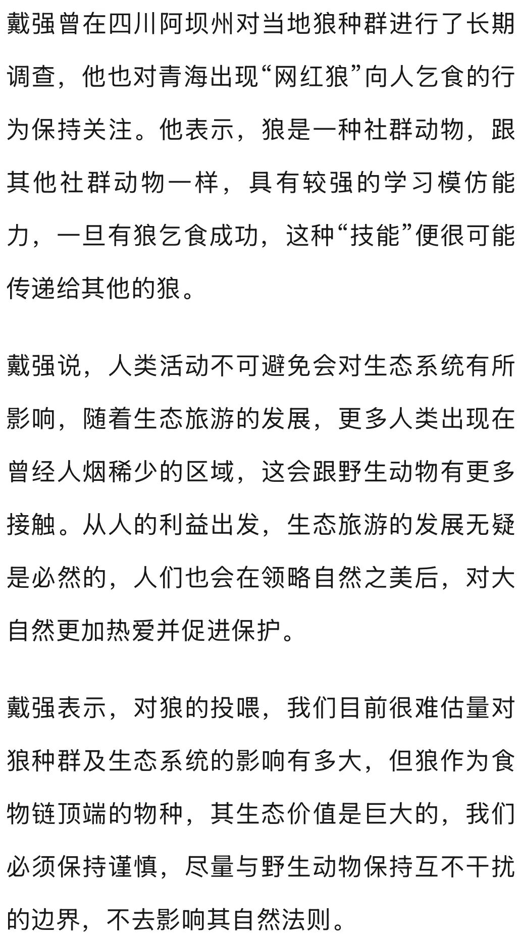 开车偶遇野狼并对视