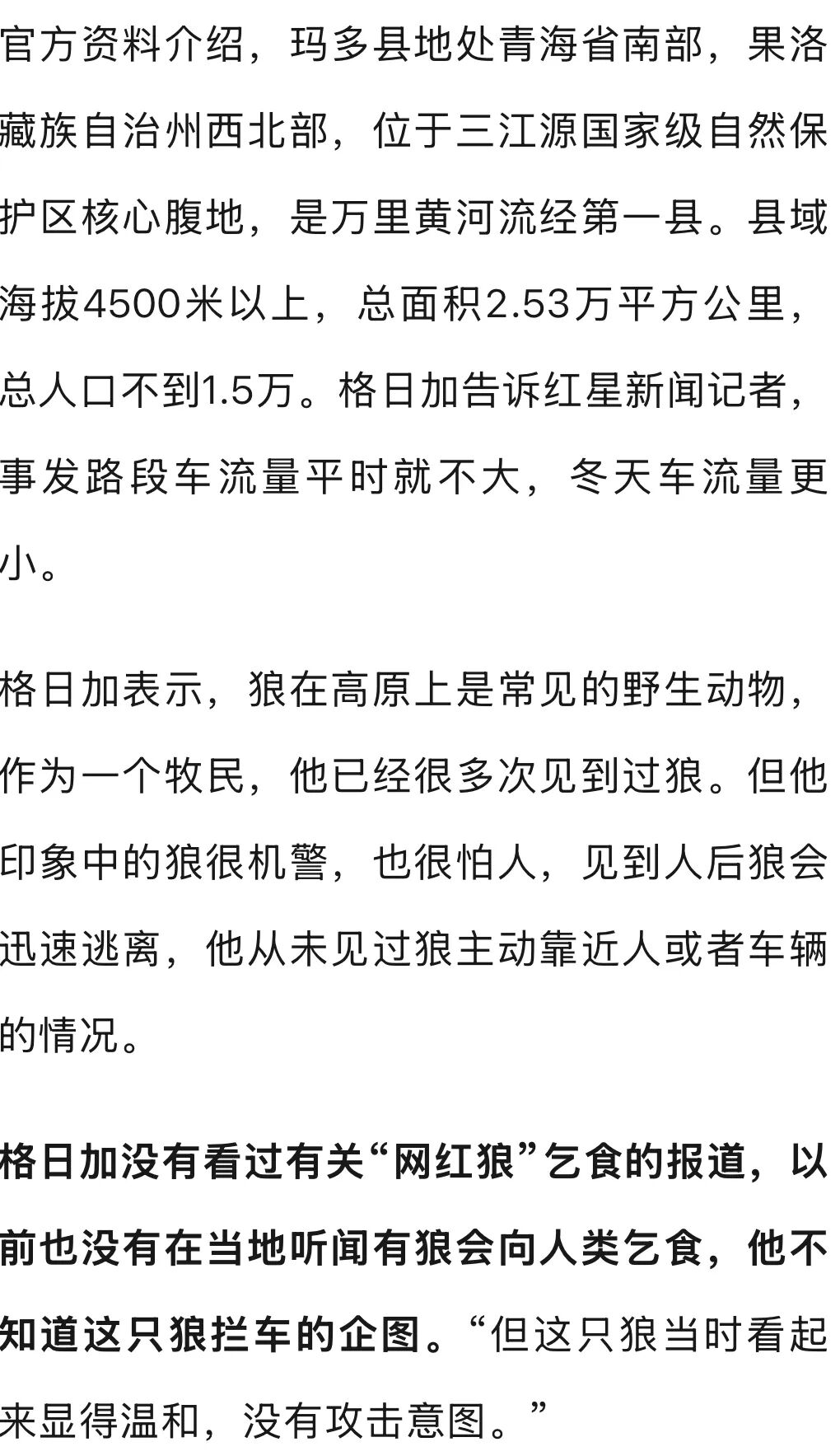 开车偶遇野狼并对视