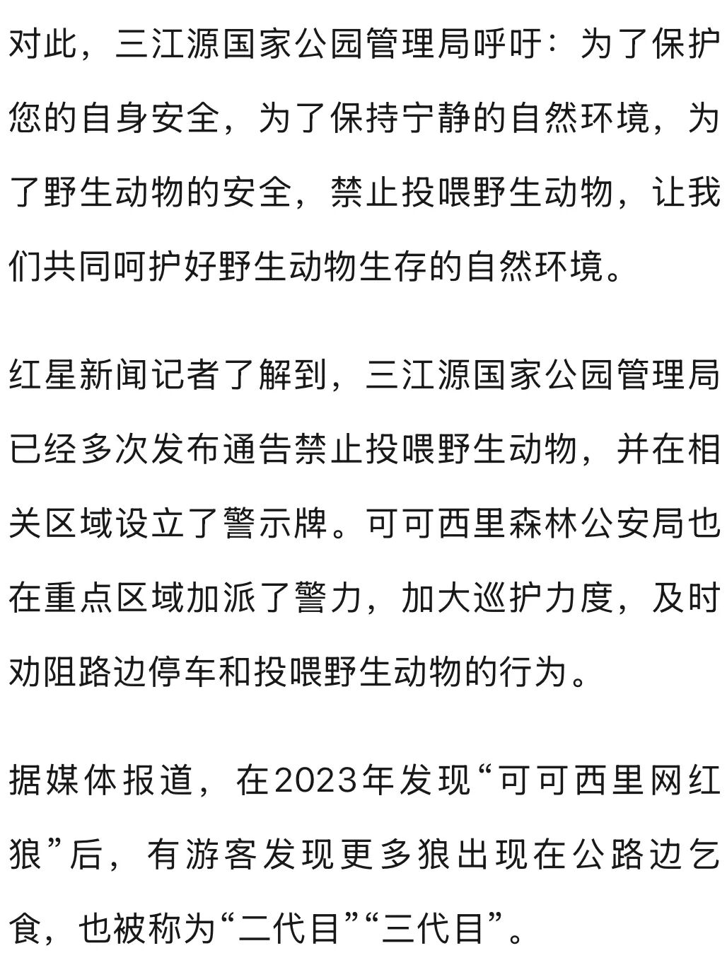 开车偶遇野狼并对视