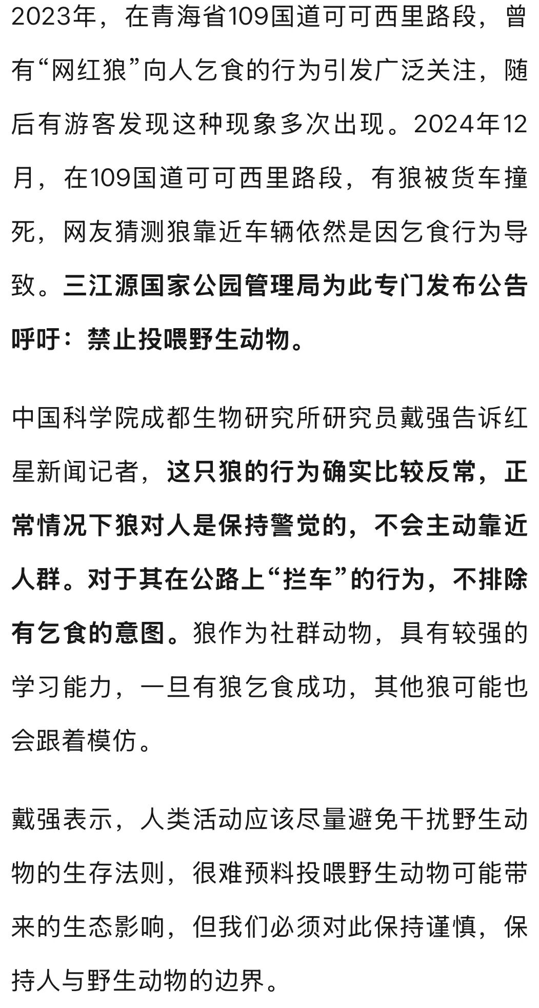 开车偶遇野狼并对视