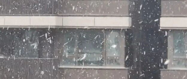 此刻，杭州又下雪了！为何最近经常有雪，网友推测和它有关...