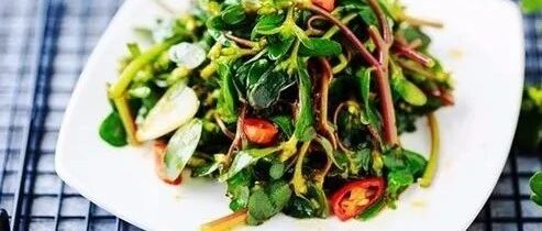 这菜很鲜!6名浙江男子吃完肾坏了!医生:"长寿菜"不能这样吃!