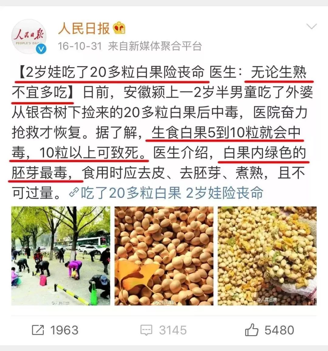 這款玩具含致命毒硼砂！對孩子，任何失誤我們都承擔不起 親子 第13張