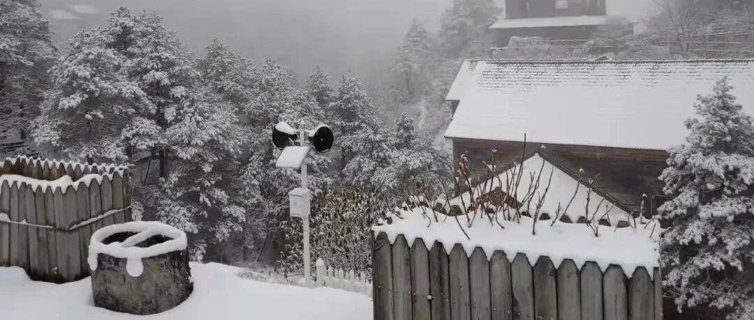 今早，杭州这里下雪了！马上要零下，降温转折点会在这天...