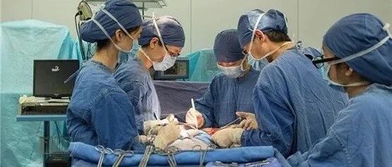 一次单位体检，杭州姐妹双双确诊！这种癌越来越年轻化...有这3个症状，赶紧就医！