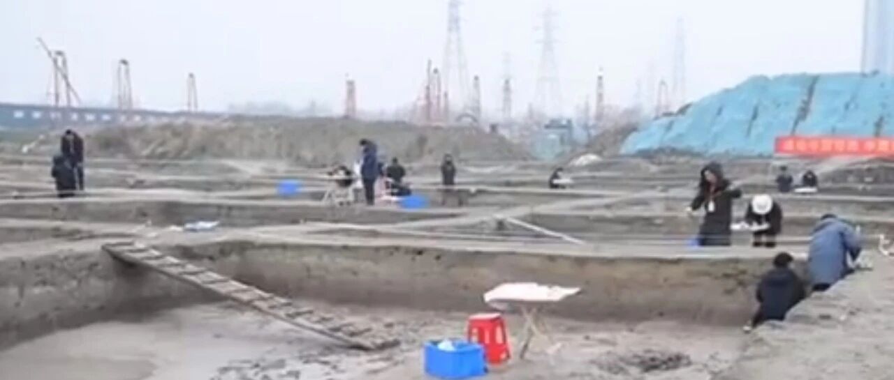 高材生来杭州应聘，刚下飞机却被拉到了田里？网友：太有必要了！