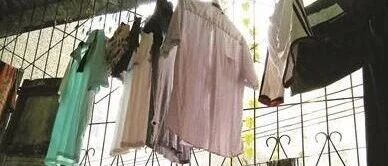 杭州大妈收衣服突然剧痛晕倒:天太梅了,衣服上有...医生:这种情况死亡率100%