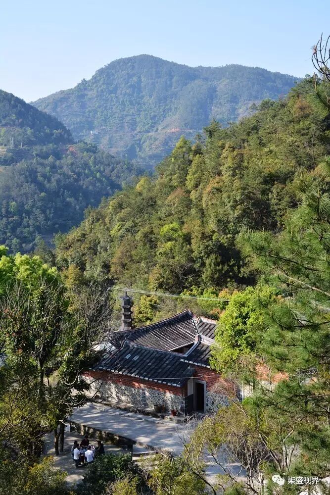 虎邱:飞凤朝天骑虎岩,格后山庄飘彩云|广西优质茶叶交流组