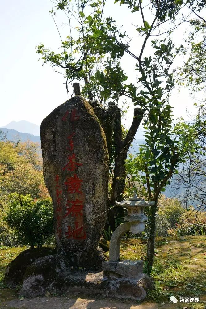 虎邱:飞凤朝天骑虎岩,格后山庄飘彩云|广西优质茶叶交流组