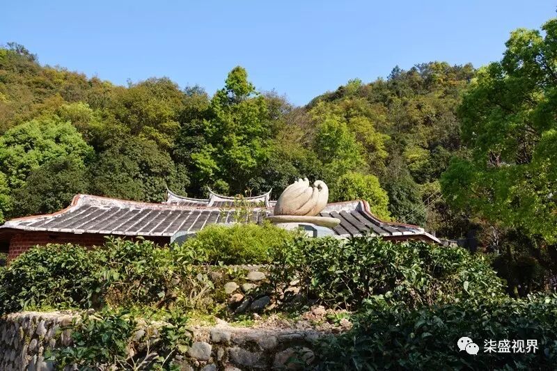 虎邱:飞凤朝天骑虎岩,格后山庄飘彩云|广西优质茶叶交流组