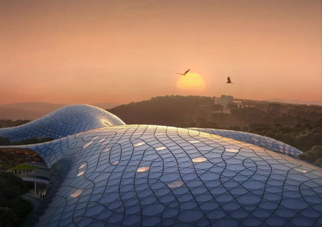 “水絨花”綻放！國家植物博物館效果圖首次曝光！(圖6)