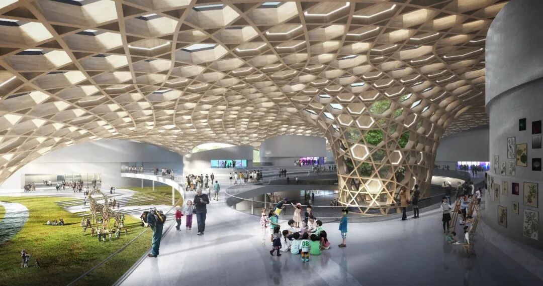 “水絨花”綻放！國家植物博物館效果圖首次曝光！(圖11)