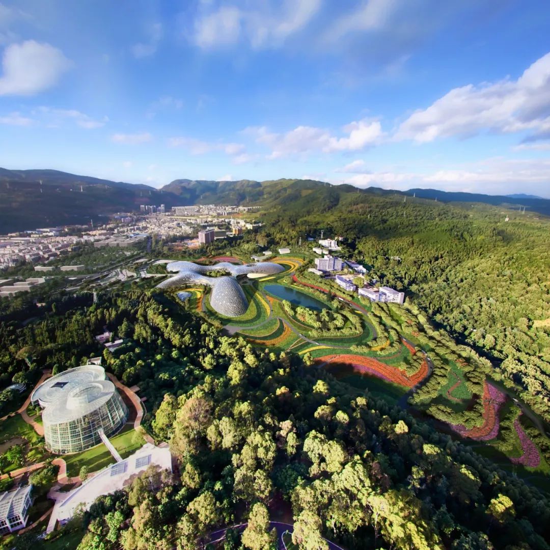 “水絨花”綻放！國家植物博物館效果圖首次曝光！(圖3)