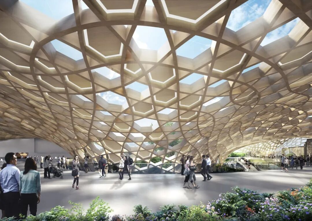 “水絨花”綻放！國家植物博物館效果圖首次曝光！(圖8)