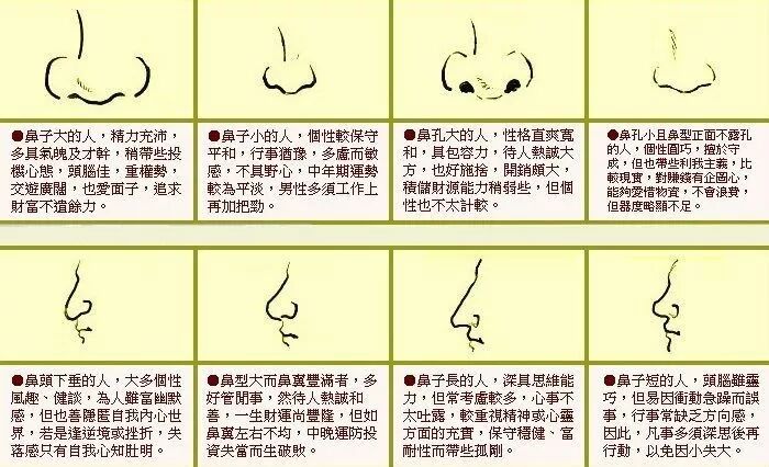 纹的眉毛变红财运不好-从鼻子看财运 | 面相