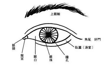 【面相】眼睛与性格的关系，——对号入座~