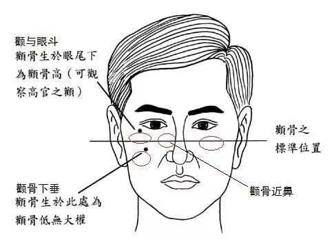 从颧骨看事业和婚姻 易玲玄学 微信公众号文章阅读 Wemp