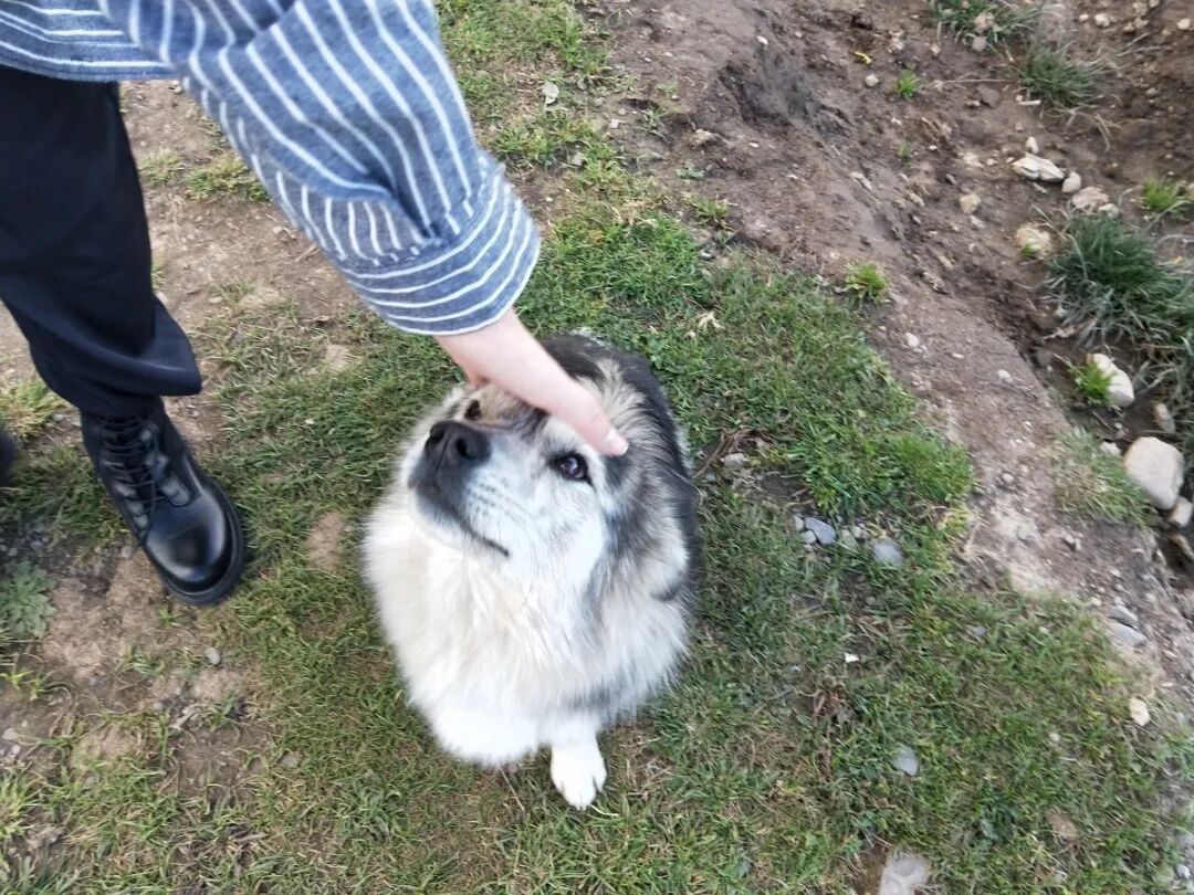 色达|只因多看了一眼，从此便是一眼万年