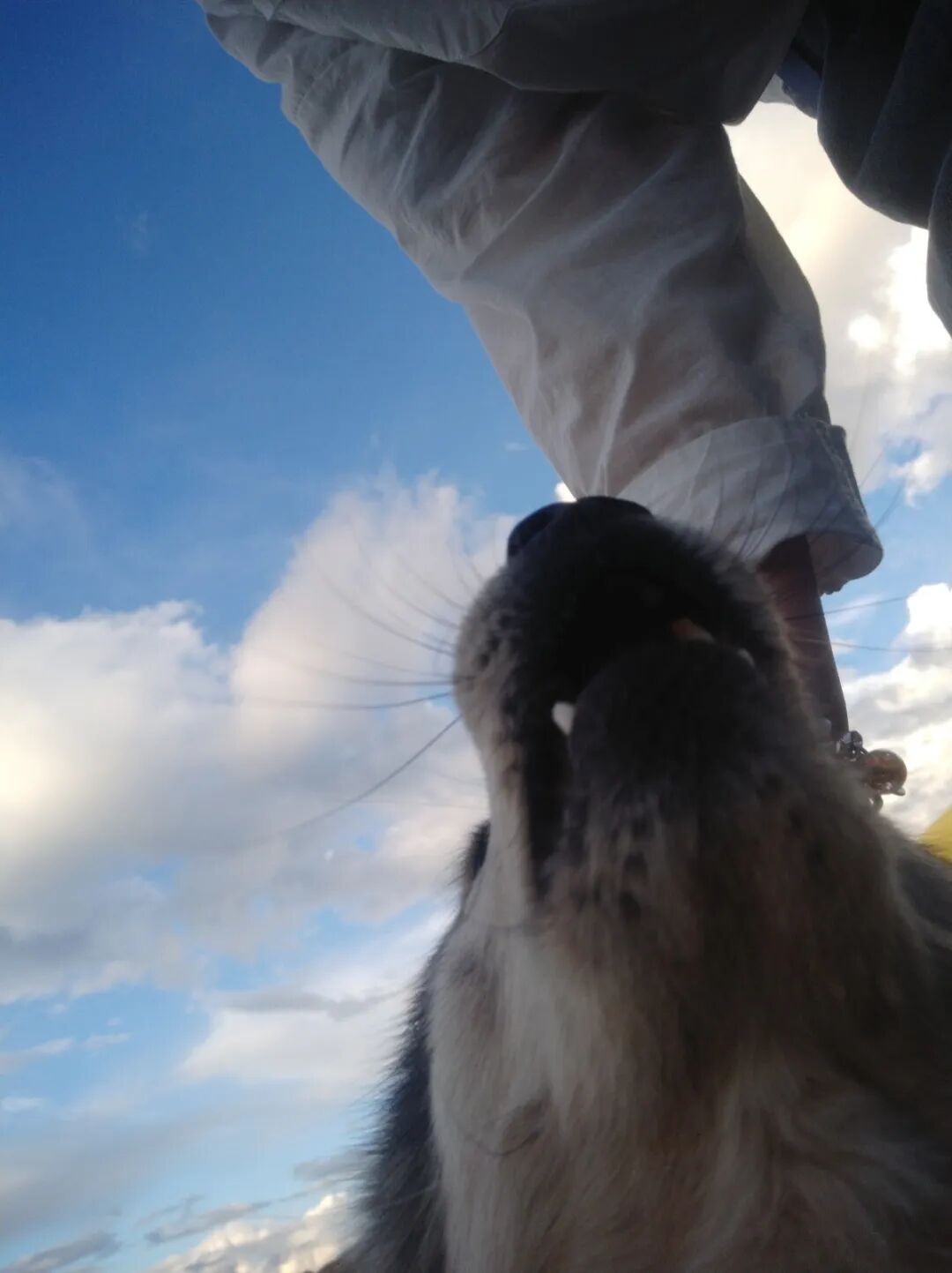 色达|只因多看了一眼，从此便是一眼万年