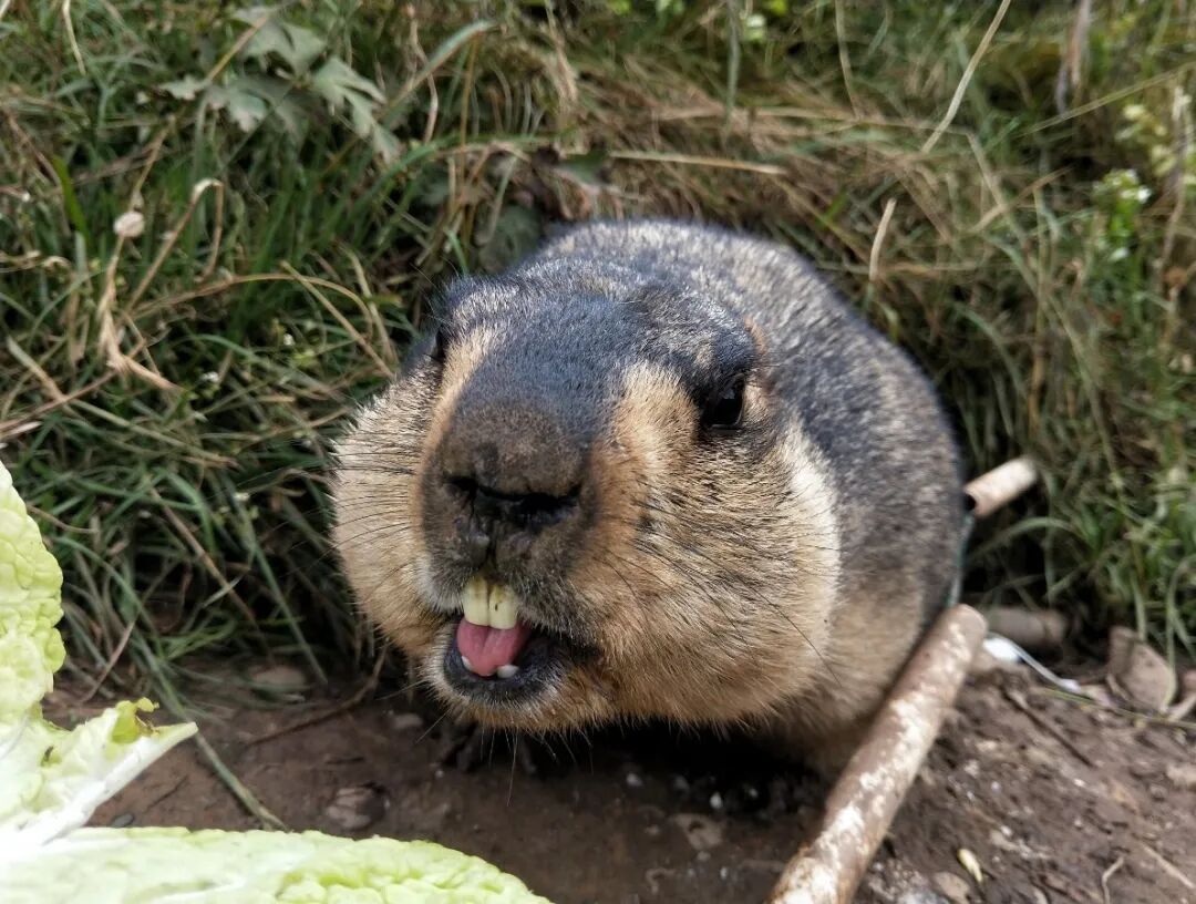 色达|只因多看了一眼，从此便是一眼万年
