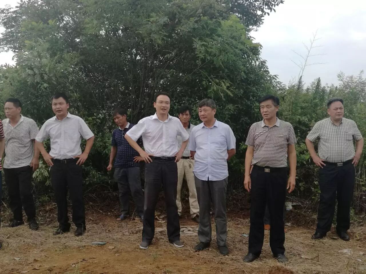 【屈原新闻直通车】区委副书记,区长万东一行到凤凰乡开展调研