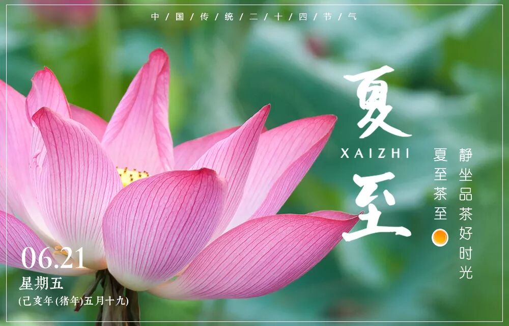 夏至茶至，静坐品茶好时光