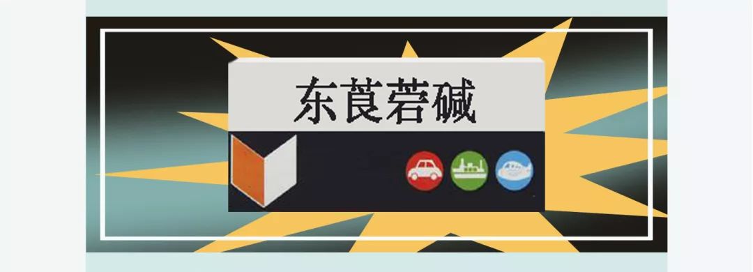 世界這麼大，暈車族不想去看看！哪種暈車藥最適合你？ 健康 第7張