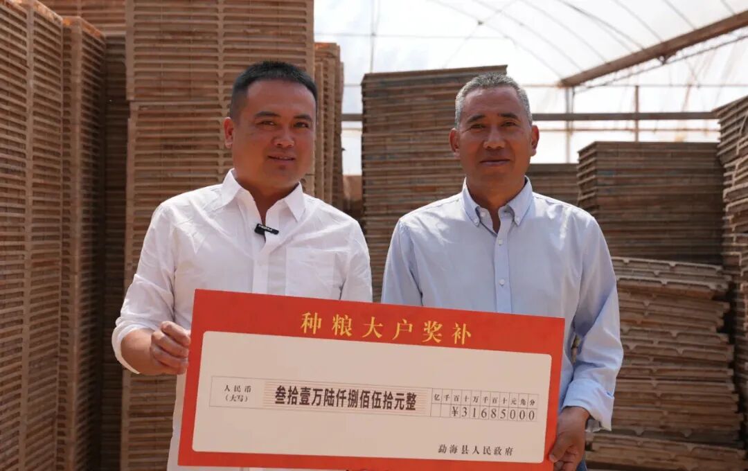 落实种粮奖补政策。马芸 摄.jpg