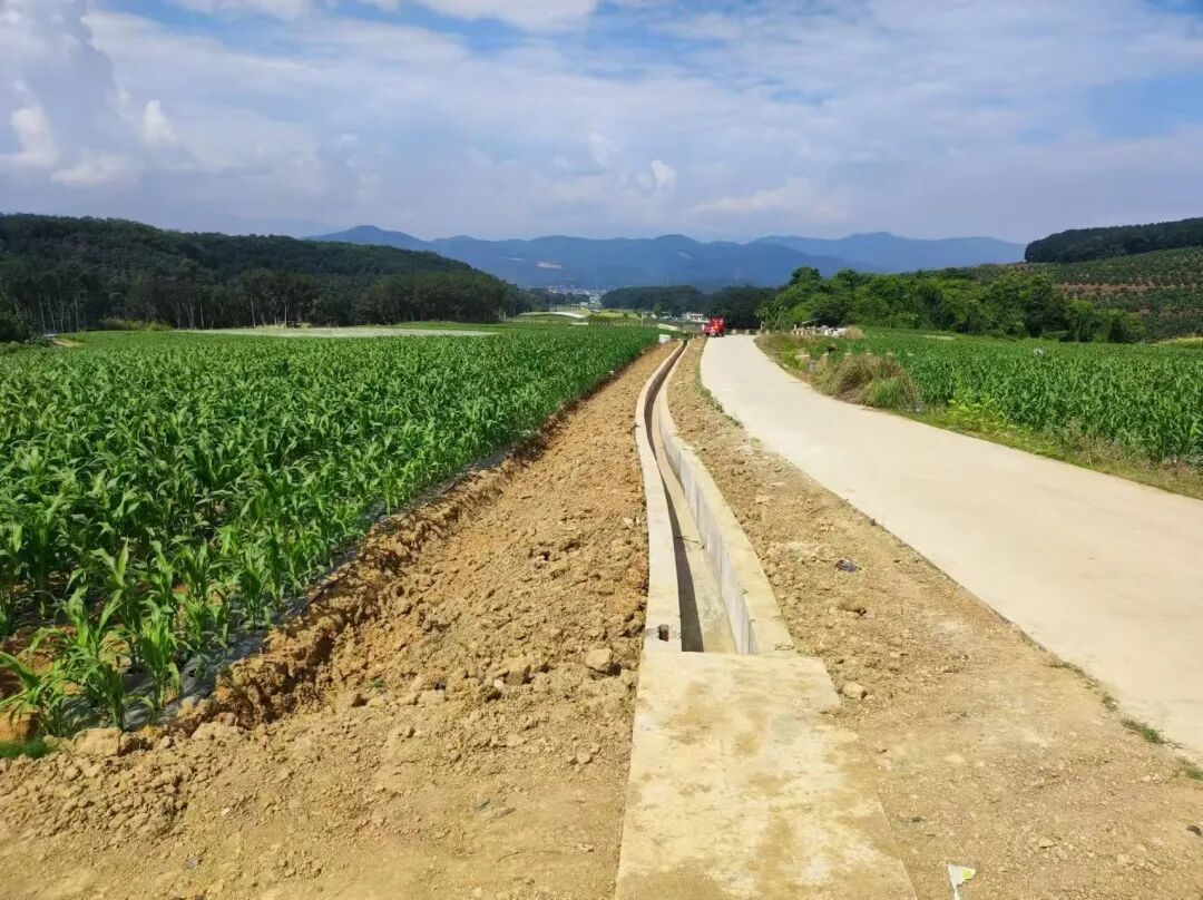高标准农田建设。马芸 摄.jpg