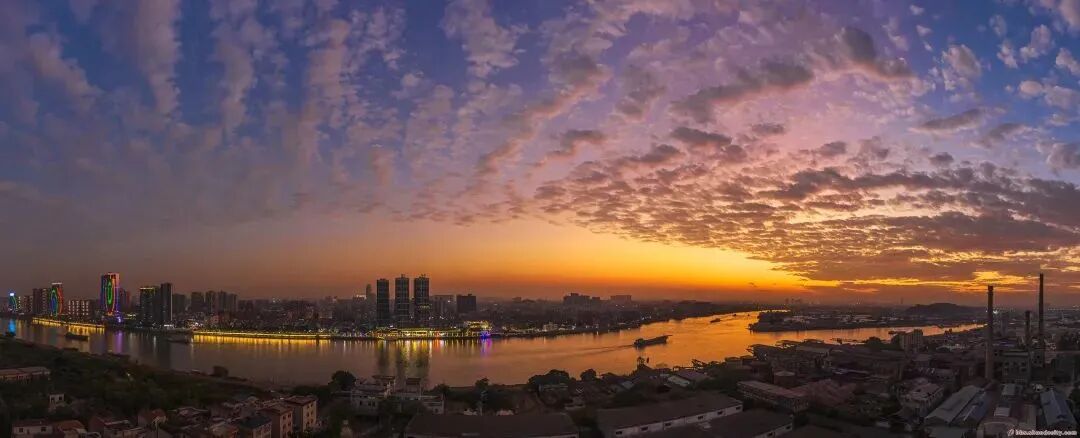 大湾区这个“明星”板块，到底要怎么买？