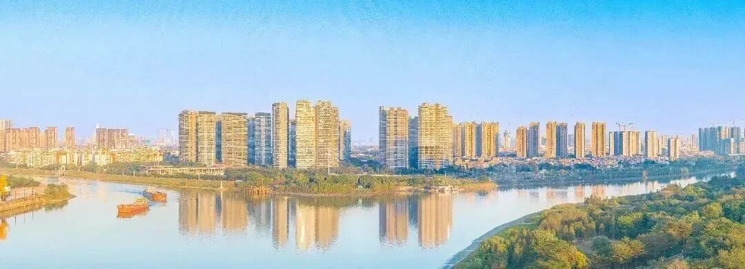 大湾区这个“明星”板块，到底要怎么买？