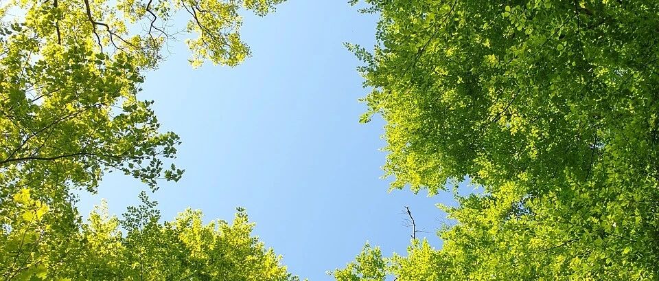 SAP 免费销售_视同销售_需要交税的处理 - 封面图