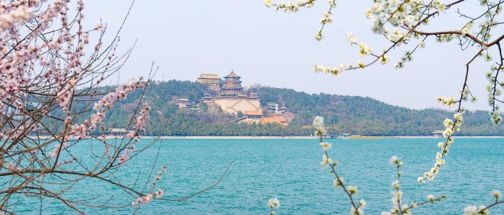 SAPF02凭证快速输入显示行项目文本 - 封面图