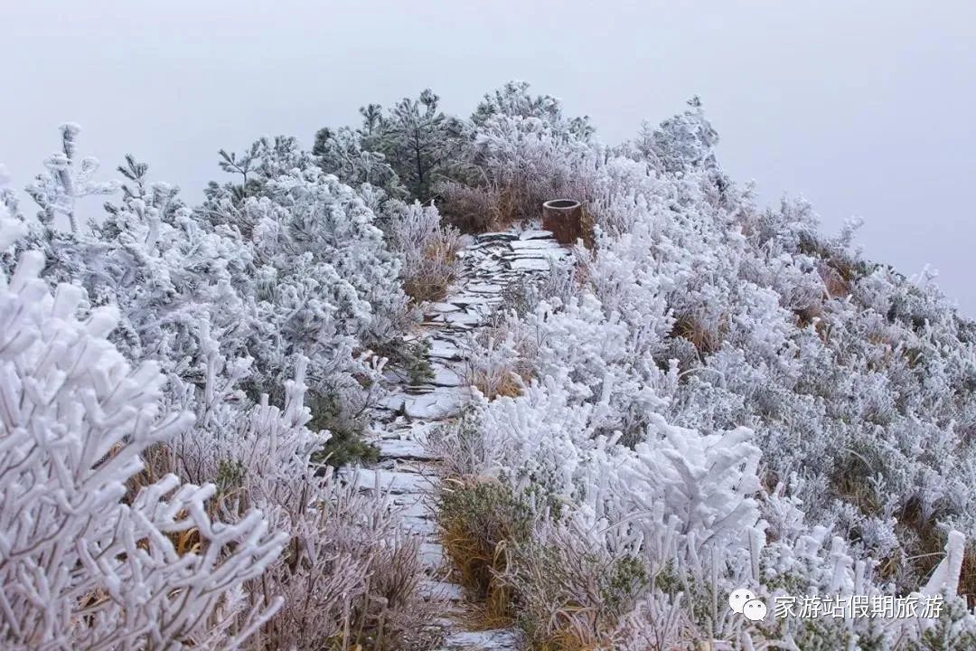 东狮山_东狮山摩崖石刻_柘荣东狮山风景区图片