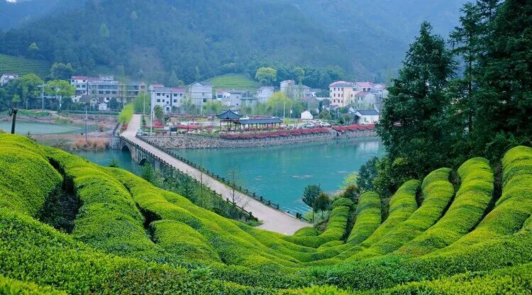 揭秘！央行系统化金融扶贫政策体系是如何建成的？(图1)