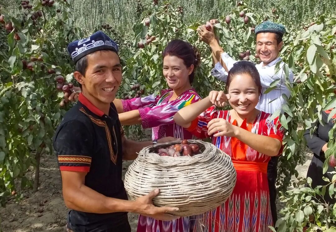 揭秘！央行系统化金融扶贫政策体系是如何建成的？(图4)