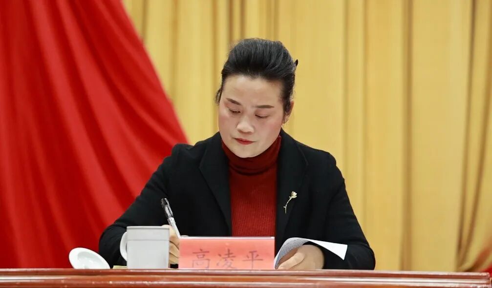 春雷出席会议并讲话,县委副书记,县长崔华明,县人大常委会主任高凌平