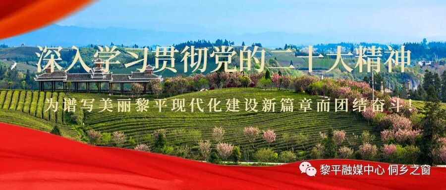 大学生物联网创业项目_互联网助农创业项目书_农梦成真公益创业项目