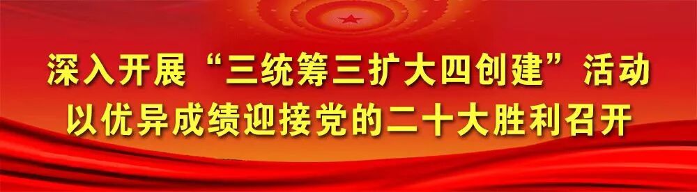 石家庄社保中心服务大厅 石家庄市人力资源和社会保障局关于企业职工基本养老保险全国统筹信息系统切换上线暂停