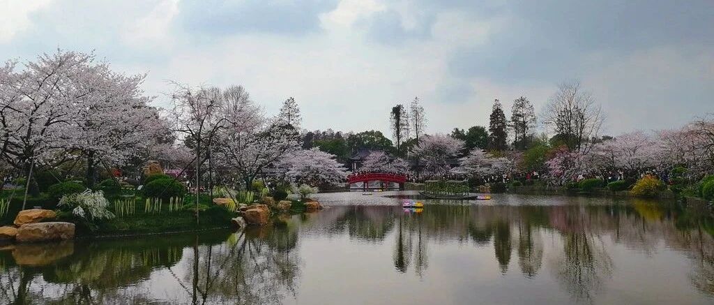 【中医考研】择校助力！92位国医大师分布合集！