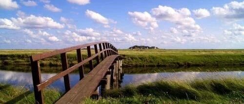 【中医考研】73所院校报录比整理！来算算你的竞争对手有多少？