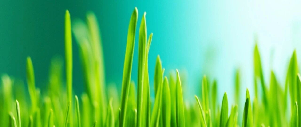 考研改变命运：270分钟教你学霸复习法！