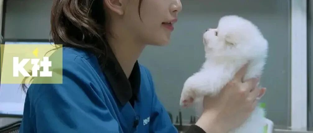 上了三次热搜，还拦不住他的疯狂