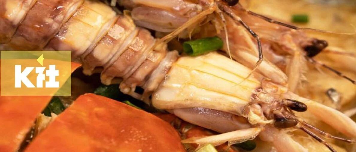 连刷三季，这部高分「深夜剧」太上头！