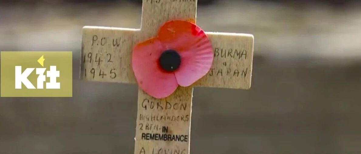 信息量爆炸，这些真相太过震撼